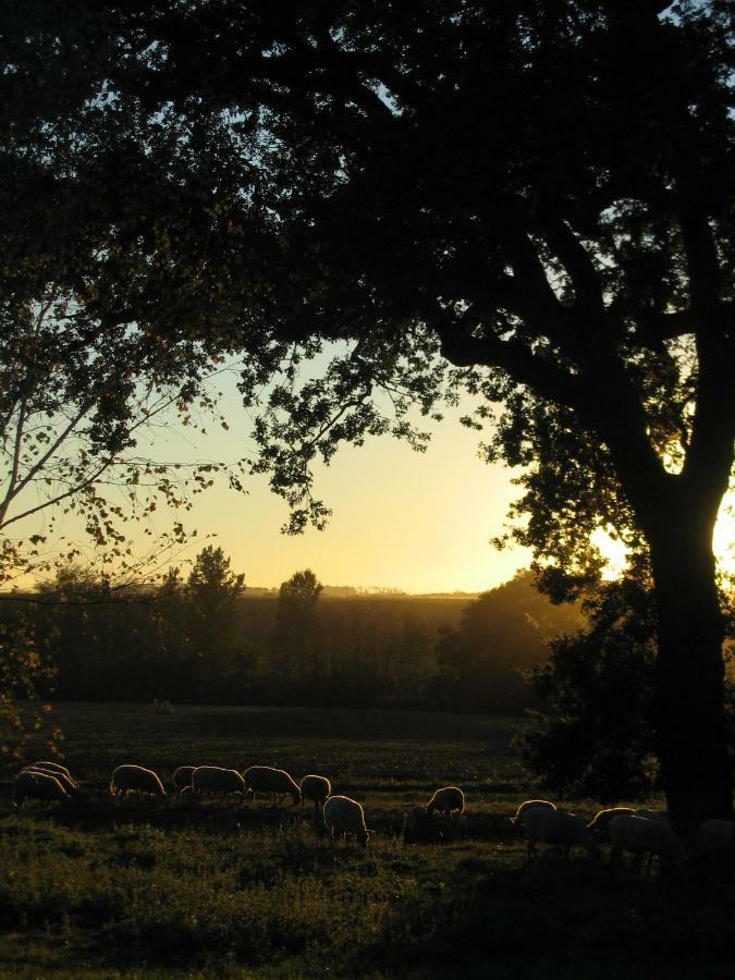 La Ferme Montplaisir Hotell Montesquieu-Volvestre Exteriör bild
